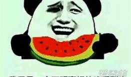 网上的吃瓜是什么意思,“吃瓜”背后的含义与趣味