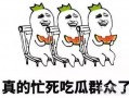 吃瓜群众下一句是什么,揭秘“吃瓜群众”背后的热议与真相