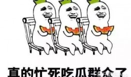 吃瓜群众下一句是什么,揭秘“吃瓜群众”背后的热议与真相