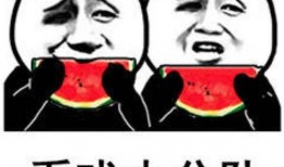 发吃瓜表情包怎么回复,揭秘热门表情包背后的趣味与智慧