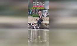 吃瓜群众视频合集大全,揭秘吃瓜群众视频合集大全