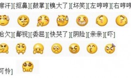 微信里吃瓜表情是啥意思,网络社交中的趣味解读