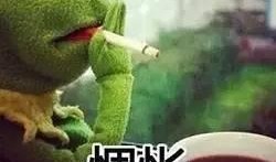 吃瓜看客,揭秘娱乐圈幕后真相