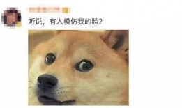微信表情吃瓜图片什么意思,网络热议背后的真相