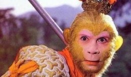 孙悟空吃瓜子是哪一集,孙悟空吃瓜子的奇幻之旅