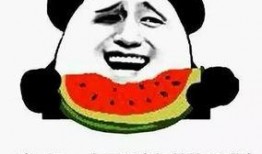 吃瓜群众含义,网络时代的旁观者与评论家