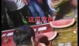 吃瓜大赛在线视频,网络狂欢，谁才是瓜王之王？