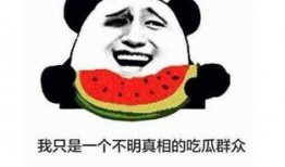 吃瓜群众是什么意思啊内涵,网络时代的围观者与评论家
