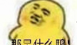 吃瓜表情包意思,吃瓜群众视角下的娱乐圈风云