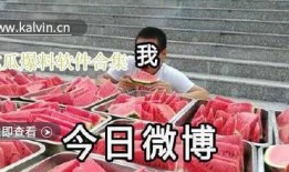 吃瓜群众视频合集大全,揭秘吃瓜群众视频合集大全