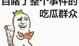 吃瓜群众视频短片大全,揭秘热门事件幕后真相